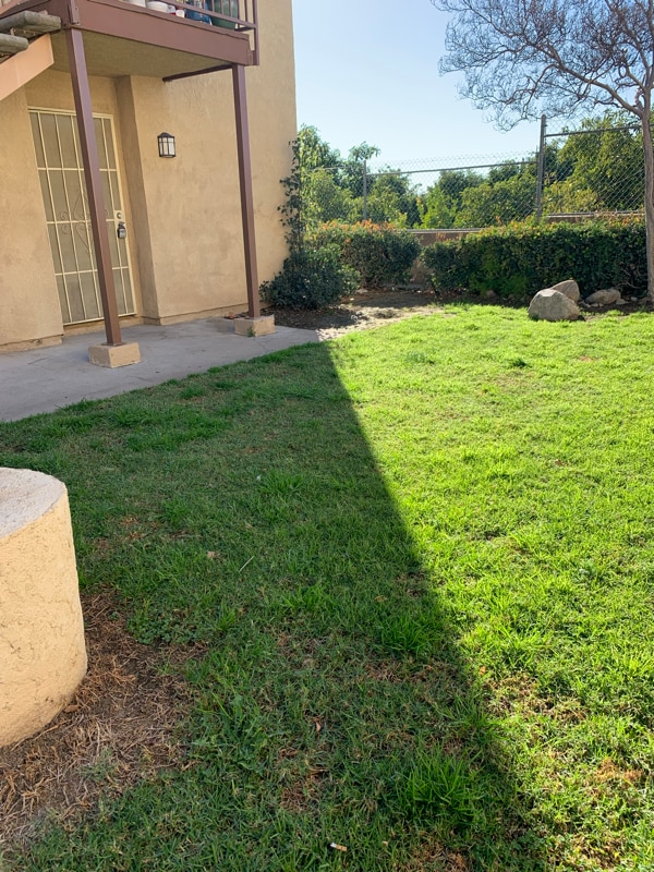 Building Photo - 1365 Crafton Ave