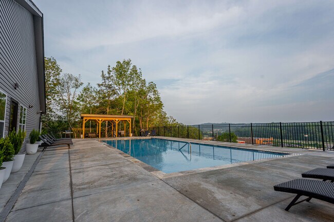 Piscina - Storyboard on Stoney Pines