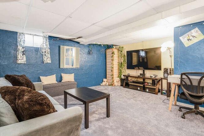 basement - 147 Locust Ct