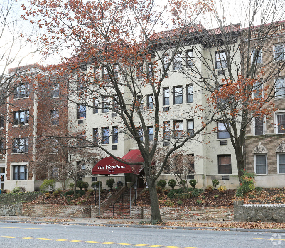 Building Photo - The Woodbine