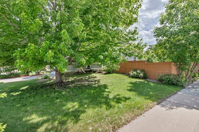 Foto del edificio - Spacious Home in Castle Rock