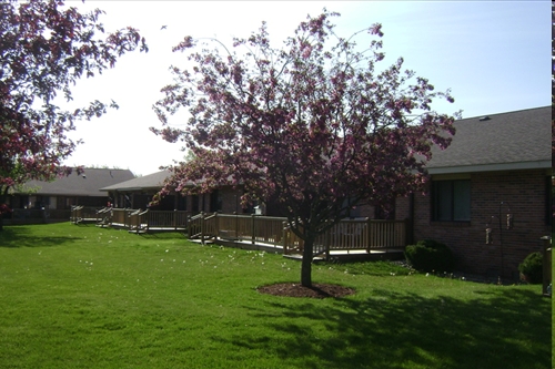 Building Photo - Country View Apartments