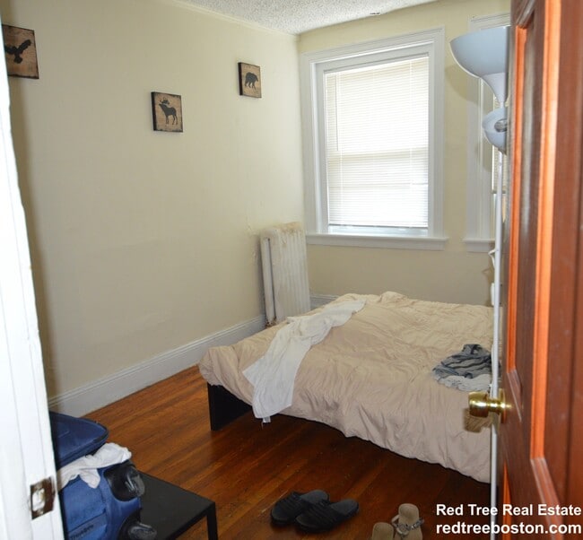 Building Photo - 248 Kelton St