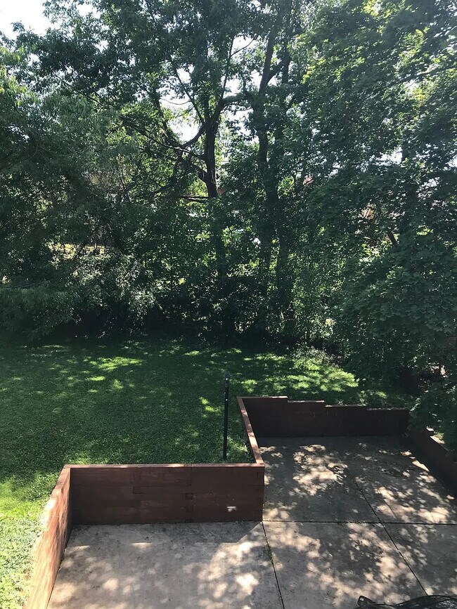 Backyard - 455 Marietta Pl
