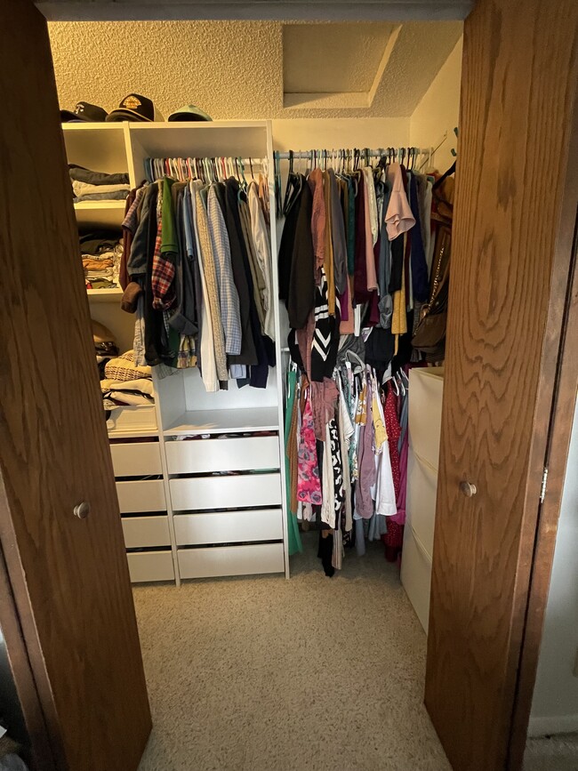 Master walk in closet - 4608 Xerxes Ave S