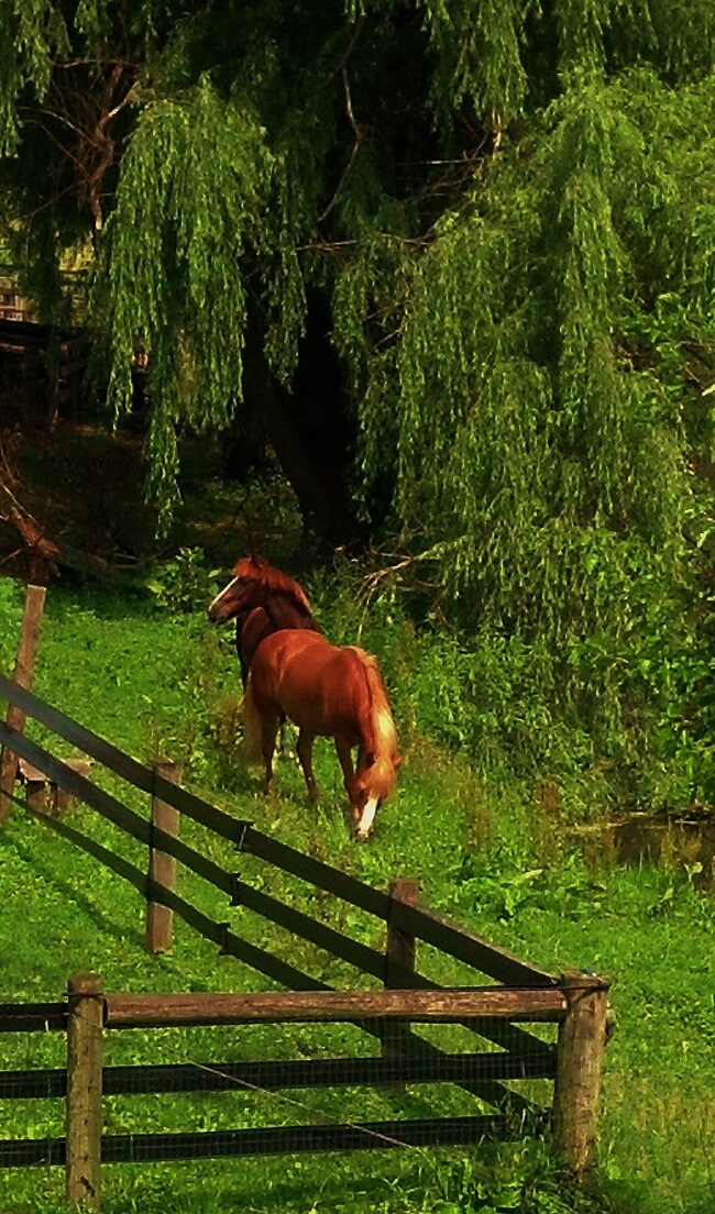 Building Photo - 1310 Hollow Road