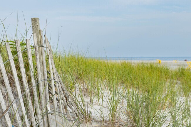 Seagrass covered dunes protect the beach at Lido Beach, NY.