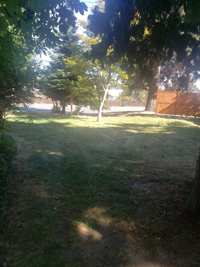 Backyard - 500 S Western Ave