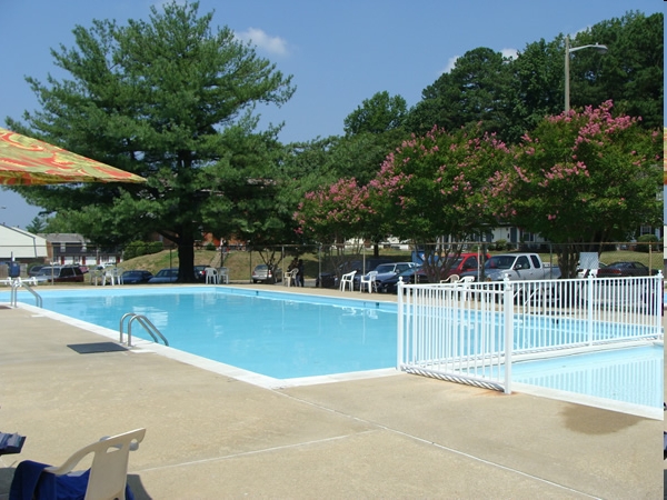 Pool - The Cloisters