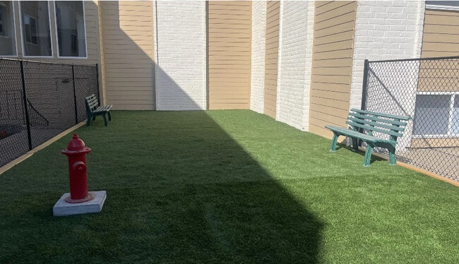 Dog Park - Bentley Place