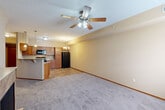 Located on Healing Stone Ct in Normal, IL, this single-floor, 3-bedroom, 2-bathroom home offers a practical and comfortable layout. The open-concept living and kitchen area is a central highlight, where plush carpeting in the living room transitions to tile flooring in the kitchen. A ceiling fan with light fixture anchors the living space, which also features a tiled fireplace and a window that brings in natural light. The kitchen is well-appointed with warm wood cabinetry, granite-look countertops, a breakfast bar peninsula, black appliances including a refrigerator, range, and built-in microwave, plus an elegant chandelier overhead. Both bathrooms feature tile flooring and tub-shower combinations, with the full bath including a wood vanity with a granite-look countertop and lighted mirror. Each of the three bedrooms is carpeted and equipped with a ceiling fan, and the spacious primary bedroom includes natural light from a window. The home boasts an impressive five closets throughout, including a large walk-in with wire shelving systems offering abundant storage. A dedicated laundry room and utility room add further functionality to this well-organized residence.