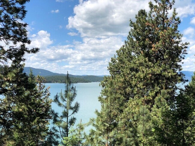 Foto del edificio - Nicholson- Rob's Place- House on Finley Po...