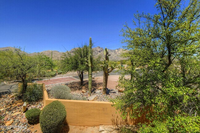 Foto del edificio - 6651 N Campbell Ave