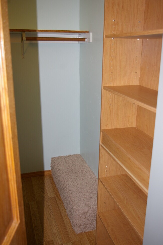 Master bedroom walk in closet - 725 S Evergreen St