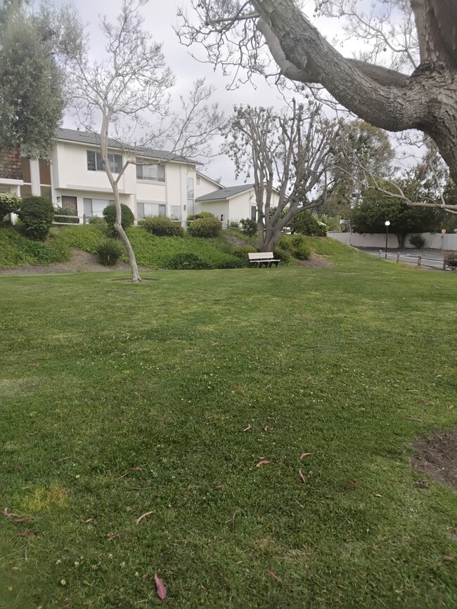 Foto del edificio - 3508 Driftwood Pl