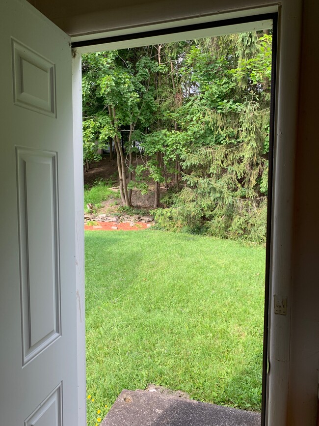 Backyard through kitchen door - 1246 Westcott St