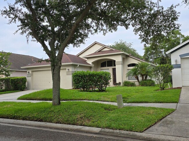 Foto del edificio - 9841 Bayboro Bridge Dr