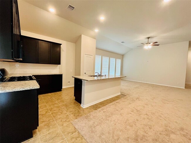 Building Photo - 204 Cambria Green Ln