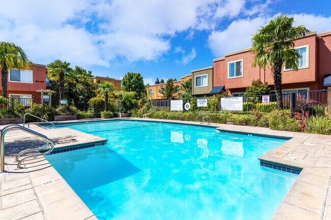 Building Photo - Palm Terrace Condominium Rentals