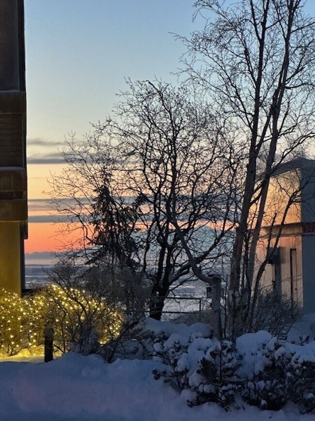 Building Photo - 163