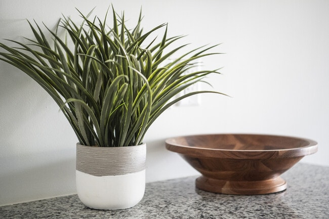 Elegant countertop display featuring a vibrant green potted plant and a stylish wooden bowl, adding a fresh touch to any interior space. - Grace Lane Apartments