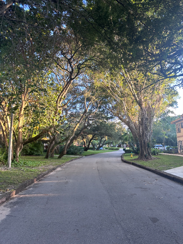 Foto del edificio - 2691 Albatross Rd N