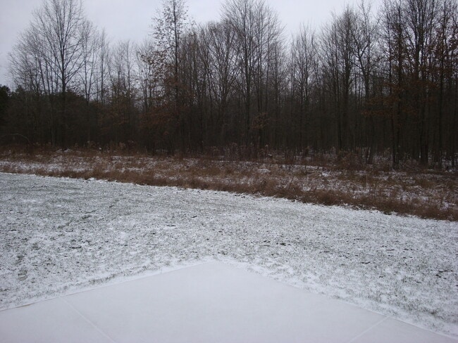 View from Rear Patio - 32 Klines Cv