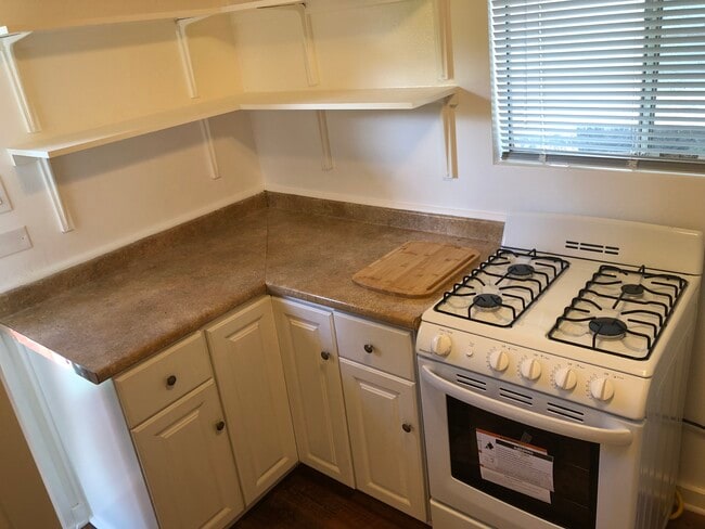 Brand new gas range/oven and food prep/storage area - 508 Bellevue Pl