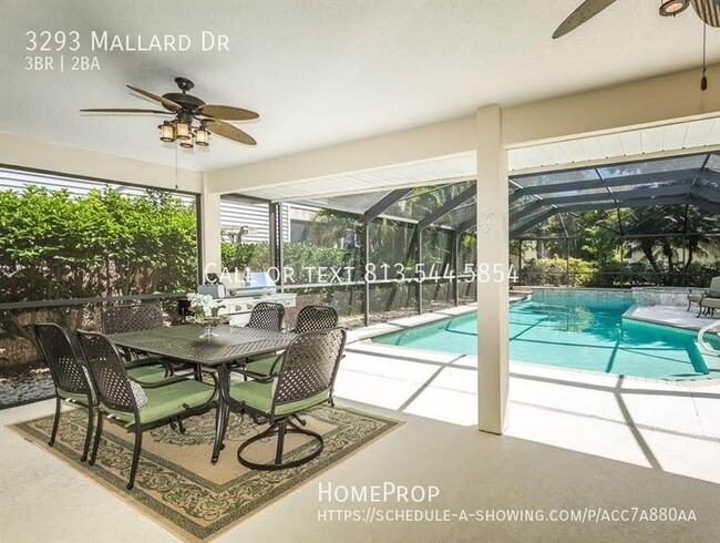 Foto del edificio - Beautiful Safety Harbor Pool Home