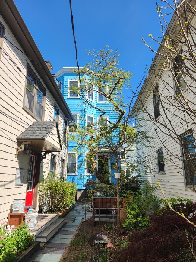 Casa - patio - 410 Norfolk St