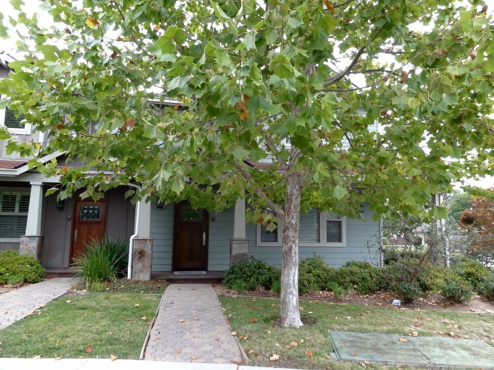 Primary Photo - 168 Wedgewood Ave