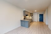 Located at 636 W 6th St in Vancouver, WA, this modern one-bedroom, one-bathroom unit offers a thoughtfully designed layout across a single floor. The open-concept kitchen is a standout feature, showcasing sleek gray flat-front cabinetry extending to the ceiling, a textured tile backsplash, stone-look countertops, and a full suite of stainless steel appliances including a refrigerator, electric range, and dishwasher. A peninsula with additional cabinetry and counter space visually connects the kitchen to the dining and living areas, creating a cohesive, functional flow throughout. Light wood-look flooring runs continuously through the main living spaces, enhancing the clean, contemporary aesthetic. The living and dining area is brightened by large windows and a glass-paneled door that frames views of mature trees, inviting natural light deep into the unit. The bedroom is a calm, well-proportioned retreat with its own window overlooking the greenery outside and wood-look flooring underfoot. A closet provides dedicated storage. The bathroom features a full tub-shower combination with clean white surrounds and chrome fixtures. A bold navy entry door with modern hardware makes a striking first impression upon arrival.