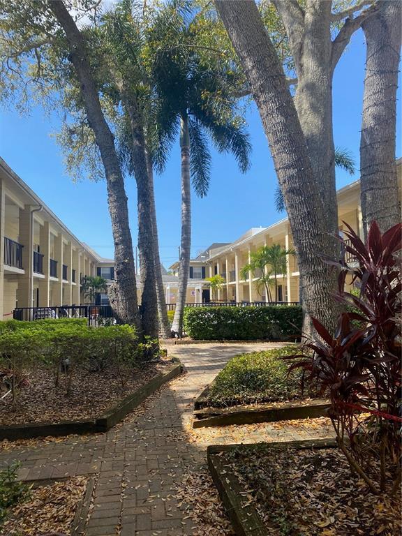 5221 Bayshore Blvd Unit 23, Tampa, FL 33611 Condo for Rent in Tampa