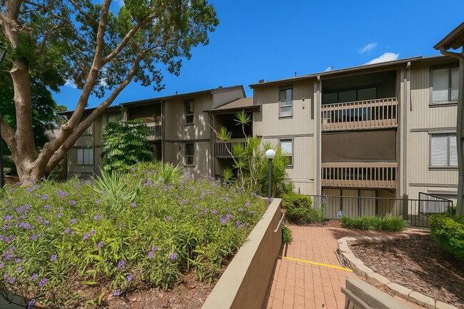 Maitland - Maitland Apartment