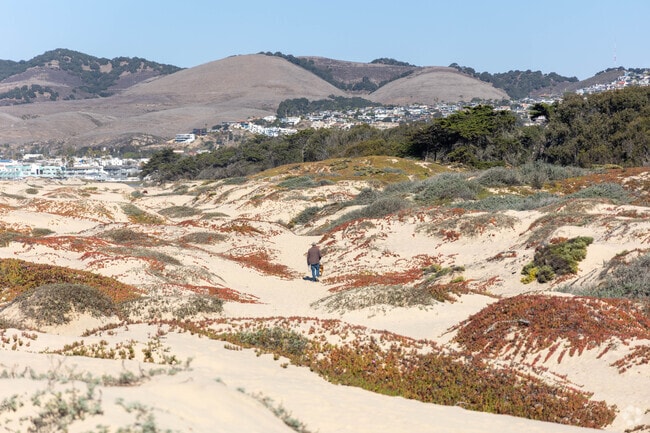 Oceano Dunes Natural Preserve is a great place to explore.