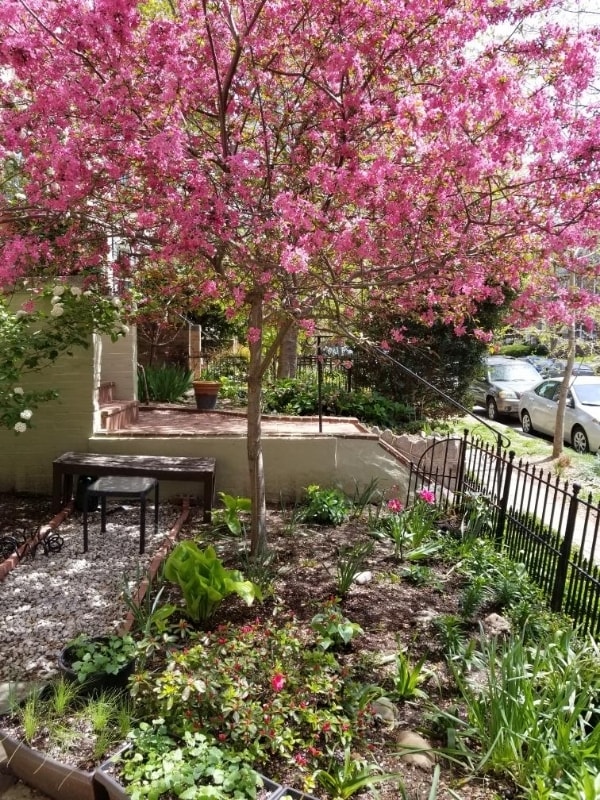 Photo - 1745 Kilbourne Pl NW (Washington, DC)