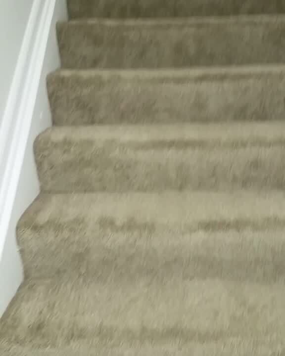 Shoal Creek Apartments Apartments Sterling Heights, MI