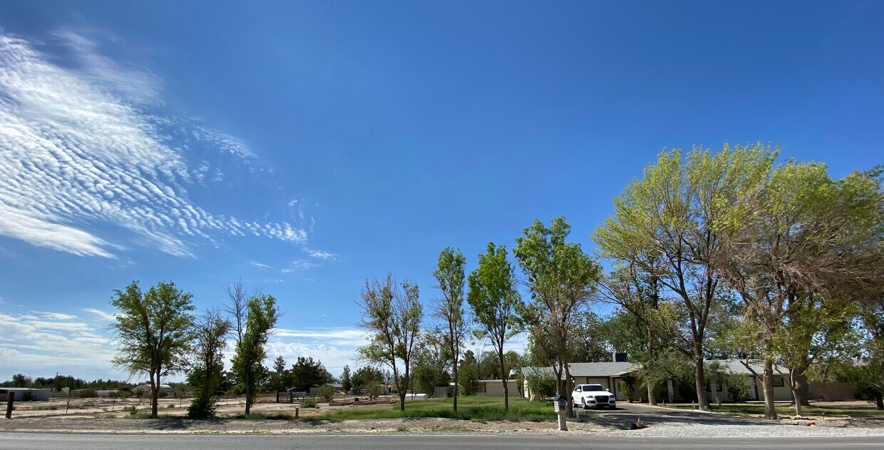 Primary Photo - 2315 E Gamebird Rd
