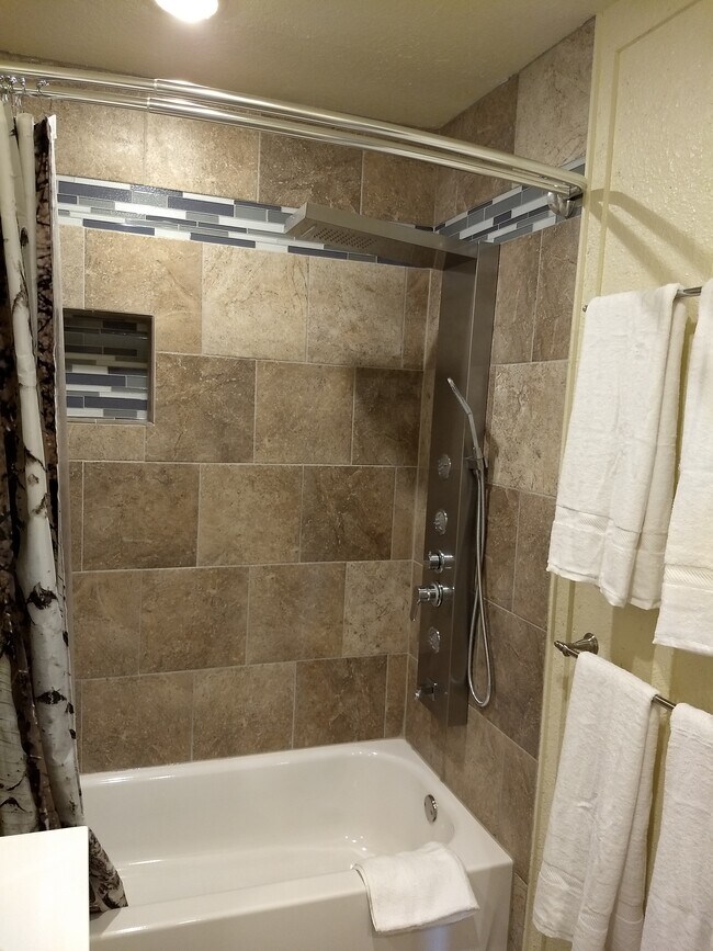 Baño con ducha spa completo con cabezal de lluvia, cascada, rociador y chorros. - 10016 s hwy 81