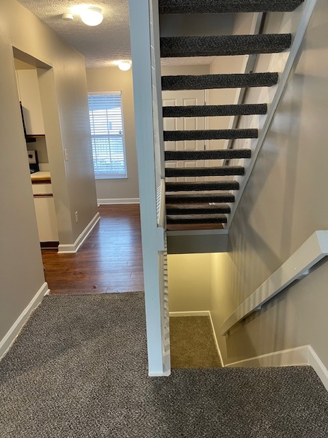 Foto del edificio - 1913 Ridgebury Dr