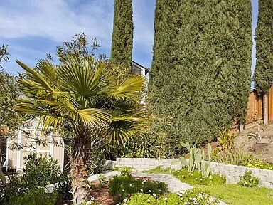 Foto del edificio - 4668 Palomino Way