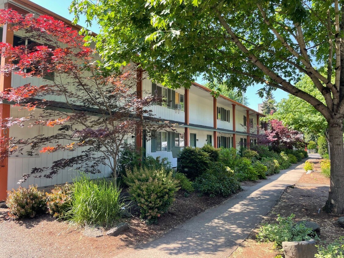 Primary Photo - (JEF 15) Spacious 2 Bedroom / 1 Bath - Pet...
