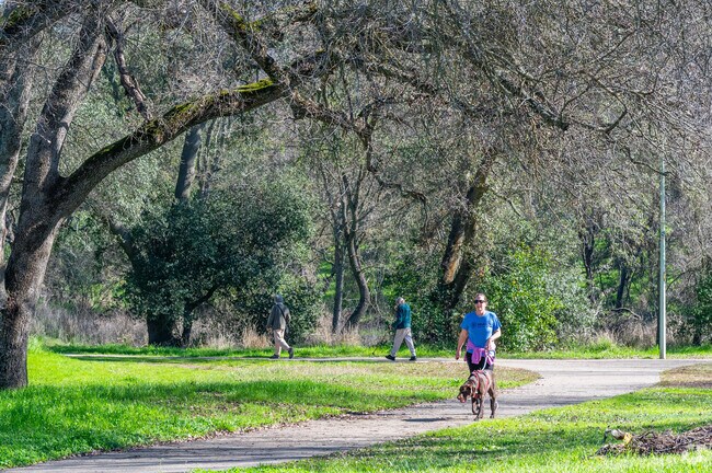 There are many walking paths to walk your dog in Orangevale.