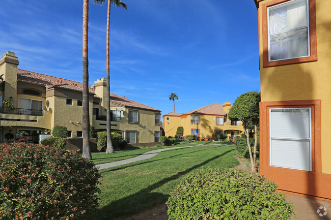 Patio - Arezzo Apartment Homes