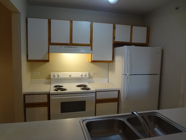 Building Photo - 1490 Spring Brook Ct