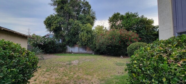 Courtyard - 3216 Blue Ridge Cir