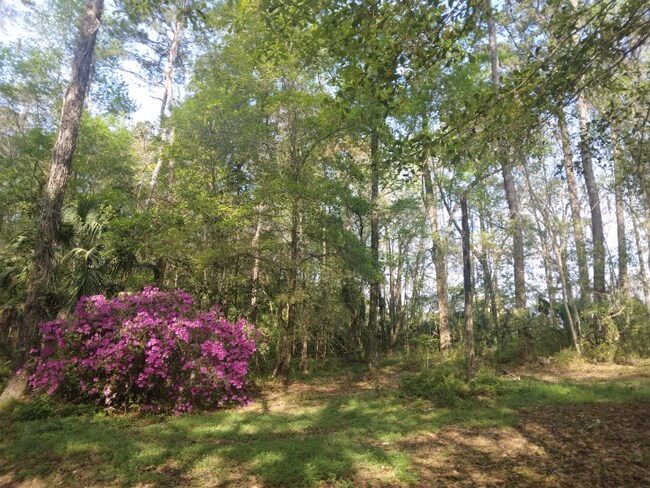 Foto del edificio - 8035 NW 120th St