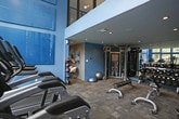 This well-appointed fitness center offers a bright, energizing environment designed to support a full range of workout routines. The space is defined by its striking floor-to-ceiling windows along one wall, flooding the interior with abundant natural light and providing pleasant views of the surrounding greenery outside. The clean, contemporary design is accentuated by a bold blue accent wall and light-toned ceilings with recessed lighting, creating an open and motivating atmosphere. The cardio zone features multiple treadmills and an elliptical machine positioned to take full advantage of the natural light and outdoor views. A dedicated functional training area includes a rack of medicine balls in varying weights, a BOSU balance trainer, and stability balls, catering to balance, core, and strength training needs. The flooring is durable and exercise-appropriate throughout. A frosted glass partition elegantly divides the fitness area from an adjacent lounge or amenity space visible in the background, maintaining an airy feel while offering defined zones. The overall ambiance is clean, modern, and purposefully designed to deliver an engaging and comprehensive fitness experience.