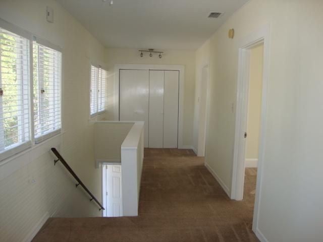 Building Photo - Move-In Ready 2BR/1BA - SEMINOLE HEIGHTS