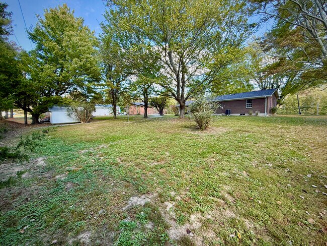 Foto del edificio - 597 Bluebird Dr